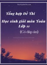 Tổng hợp Đề thi học sinh giỏi môn Toán Lớp 11 (Có đáp án)